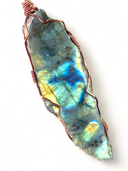 Labradorite on Sea Shell